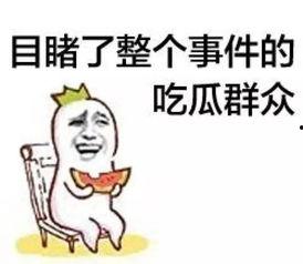 娱乐吃瓜群众集合图片,吃瓜群众集结，揭秘明星幕后故事